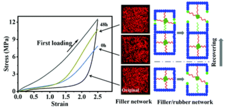 Graphical abstract:The recovery of nano-sized carbon black filler structure and its contribution to stress recovery in rubber nanocomposites